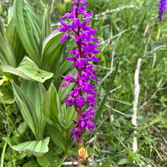 23-05-21 10-44-06 5510